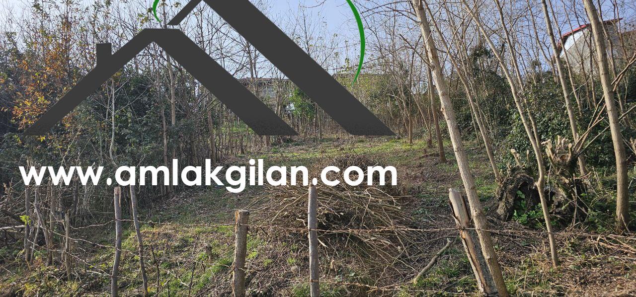 زمین فروشی حومه اطاقور 200 متری -کد7400