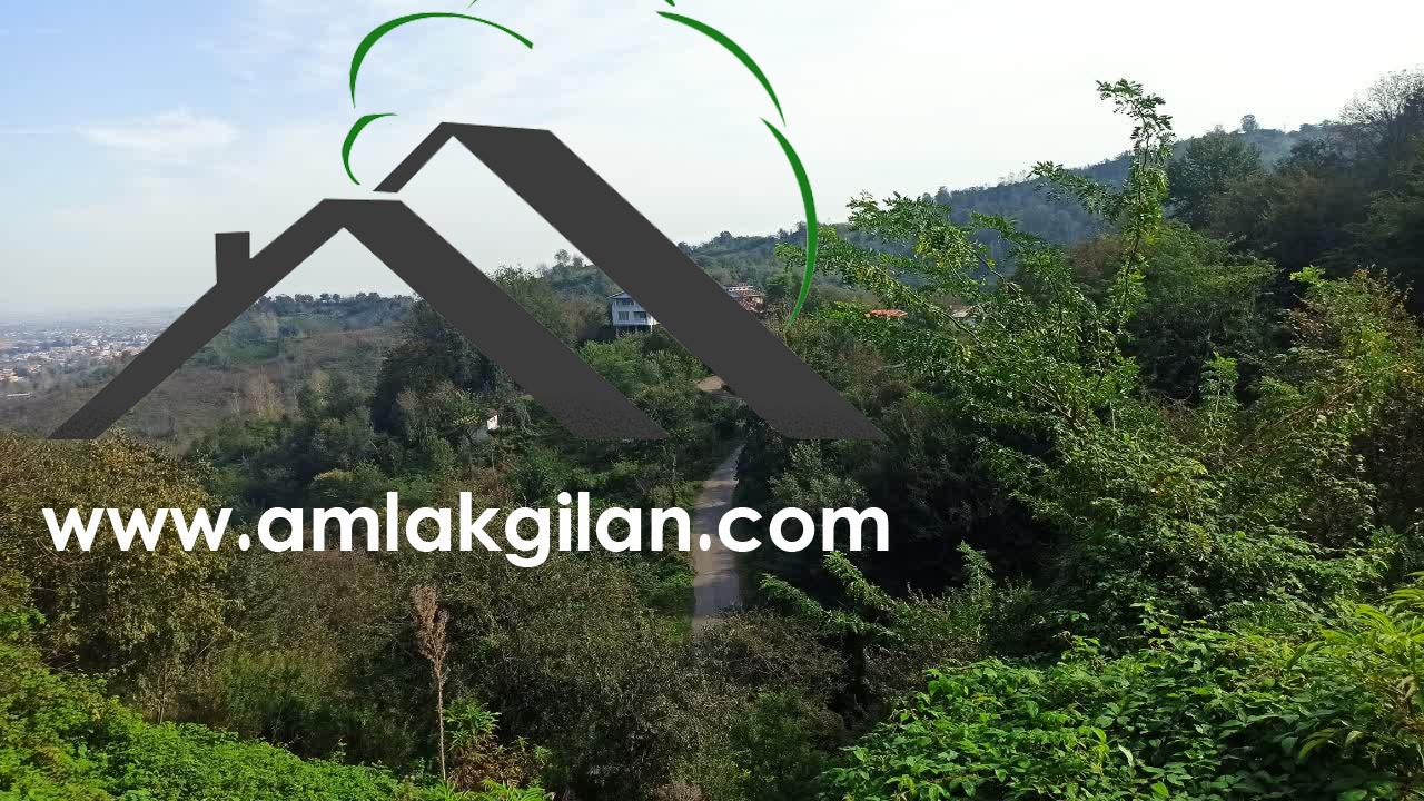 زمین مسکونی گیلان در حومه شهر اطاقور-کد ۷۵۸۶