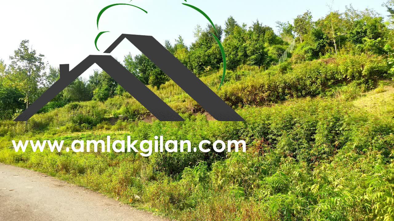 فروش زمین شهر اطاقور _کد۳۱۰۶
