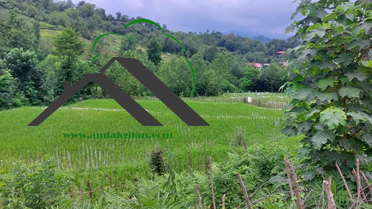 زمین مسکونی در لنگرود شهر توریستی اطاقور 323 متری _ کد 31063