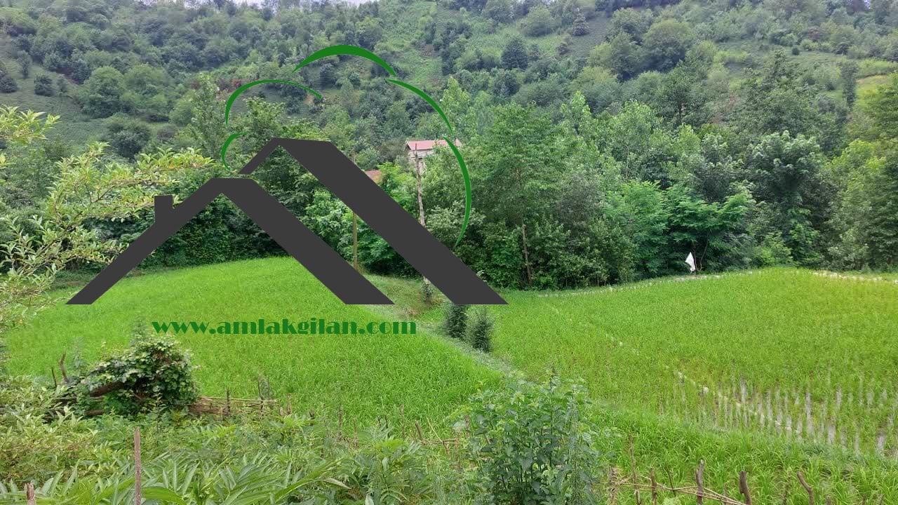 زمین مسکونی در لنگرود شهر توریستی اطاقور 323 متری _ کد 31063