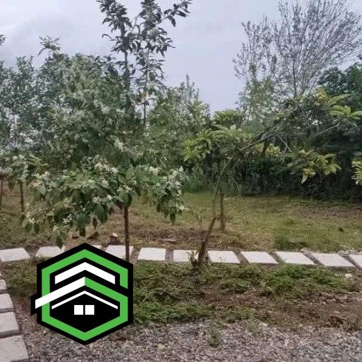 ویلا شمال لنگرود شهر توریستی کومله 1200 متری _ کد 31053