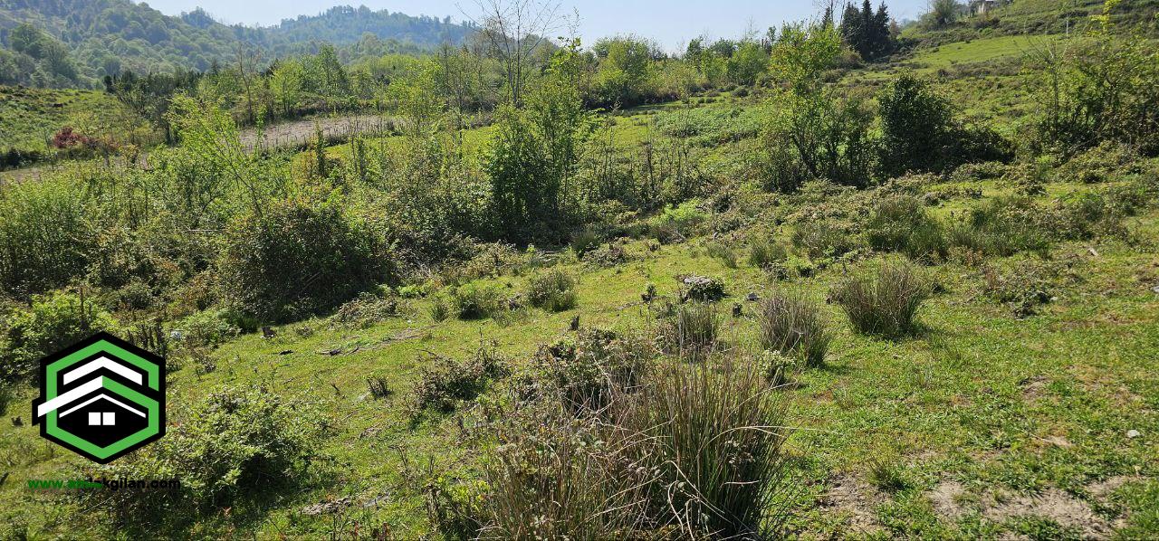 زمین گیلان لنگرود حومه شهر توریستی اطاقور 240 متری _ کد 31262