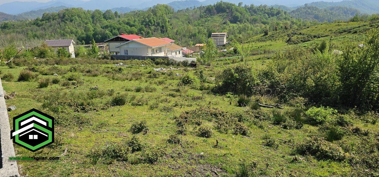 زمین گیلان لنگرود حومه شهر توریستی اطاقور 240 متری _ کد 31262