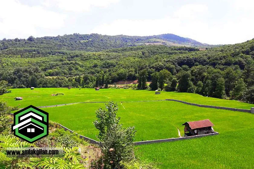 املاک شمال سرمایه گذاری عالی و سکونت در طبیعت
