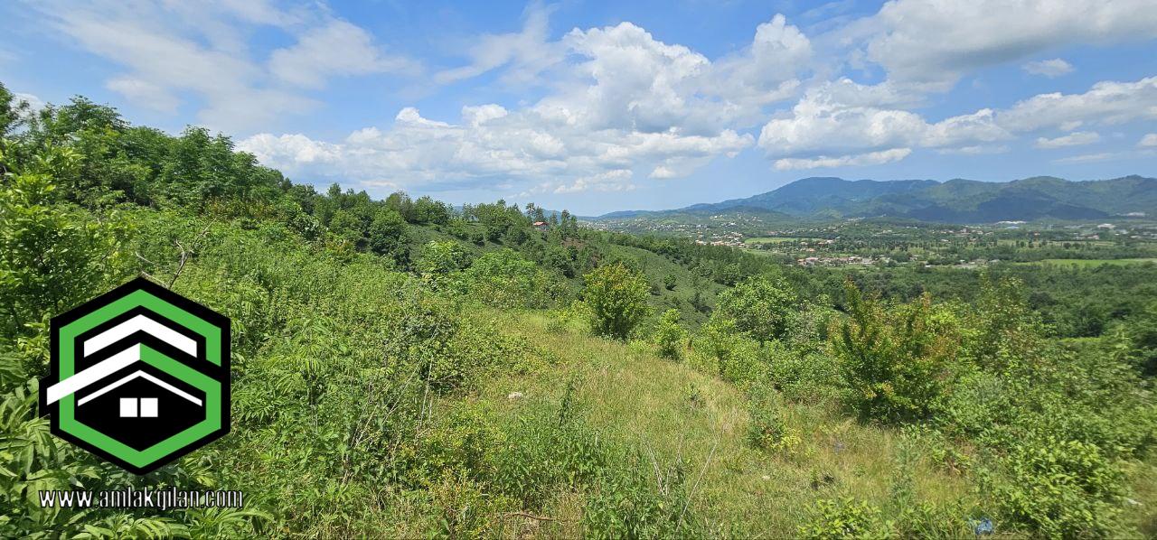 زمین مسکونی طرح هادی گیلان حومه اطاقور 2680 متری _ کد 31373