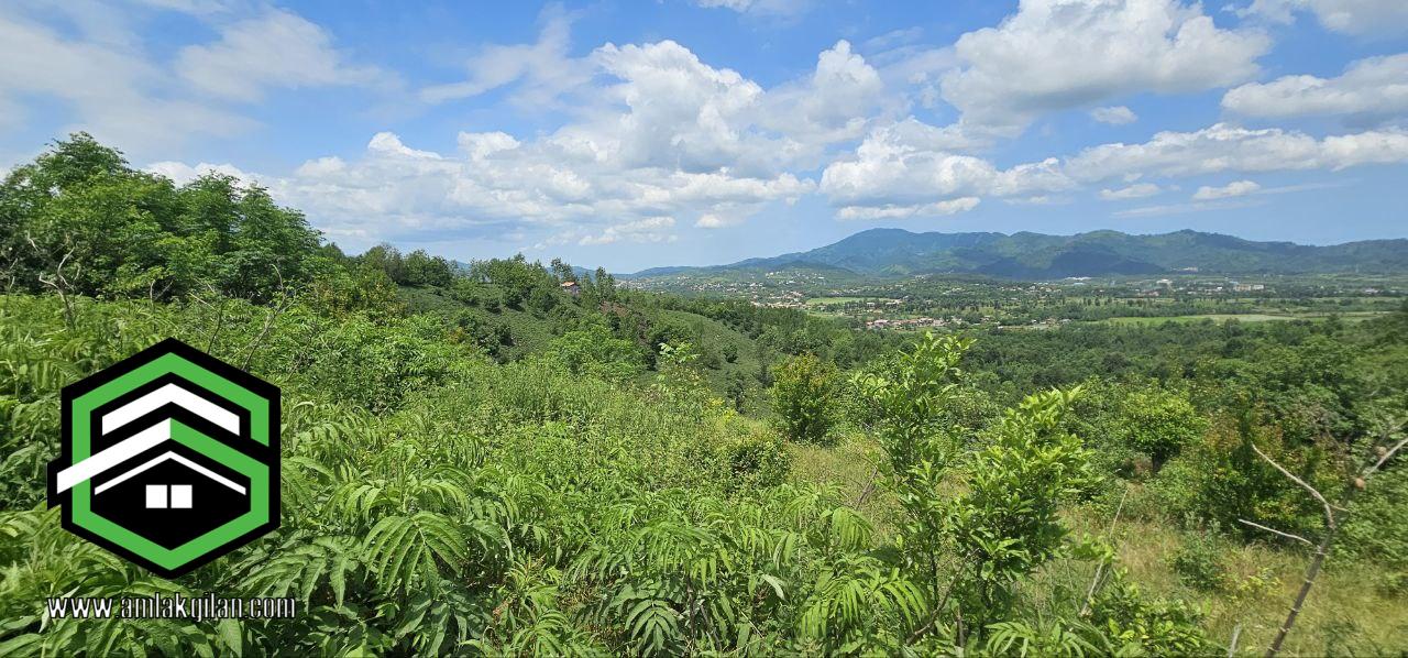 زمین مسکونی طرح هادی گیلان حومه اطاقور 2680 متری _ کد 31373