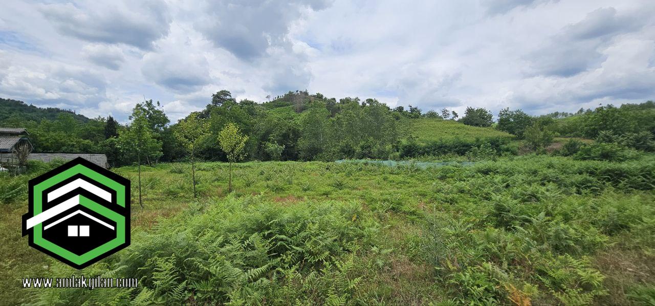 زمین مسکونی با درختان میوه شمال، اطاقور 2400 متری _ کد 31369