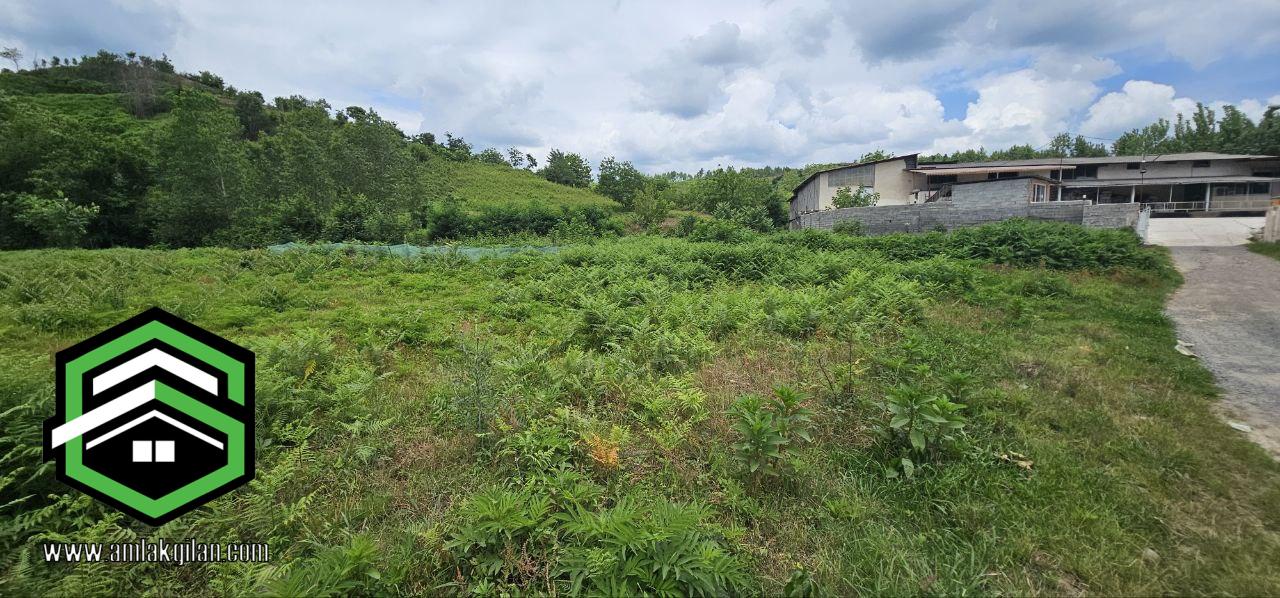 زمین مسکونی با درختان میوه شمال، اطاقور 2400 متری _ کد 31369