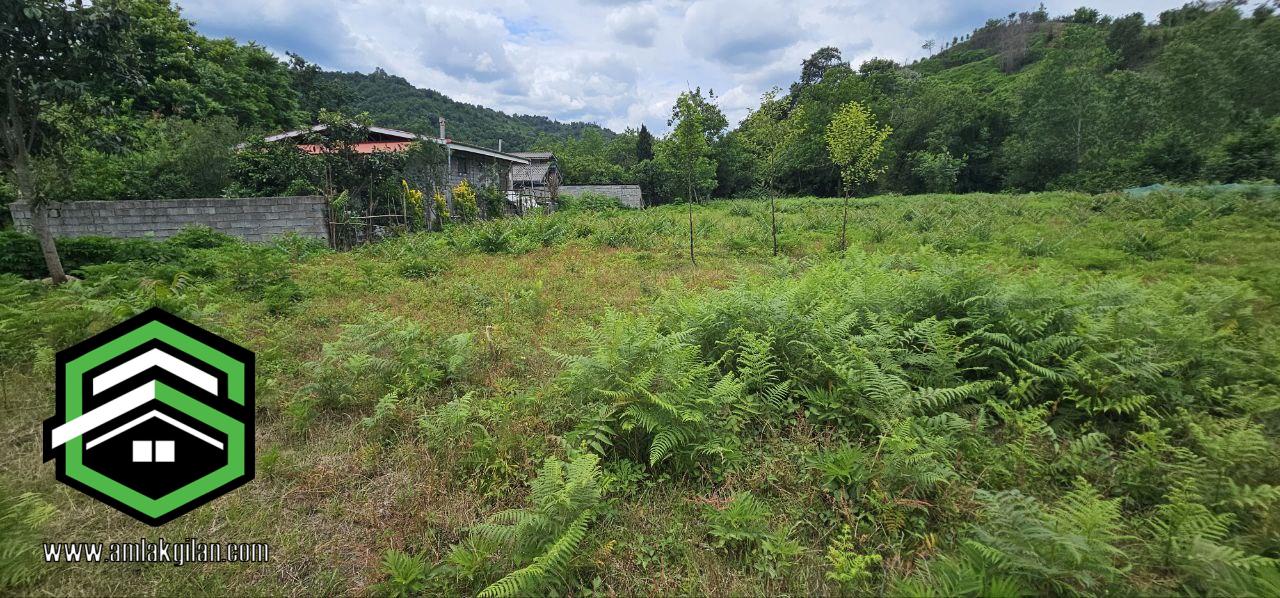 زمین مسکونی با درختان میوه شمال، اطاقور 2400 متری _ کد 31369