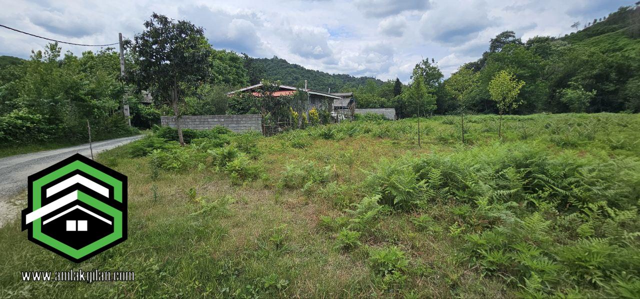 زمین مسکونی با درختان میوه شمال، اطاقور 2400 متری _ کد 31369
