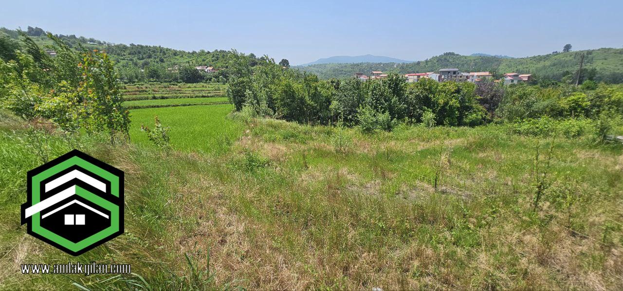 خرید و فروش زمین گیلان اطاقور 300 متری _ کد 31368