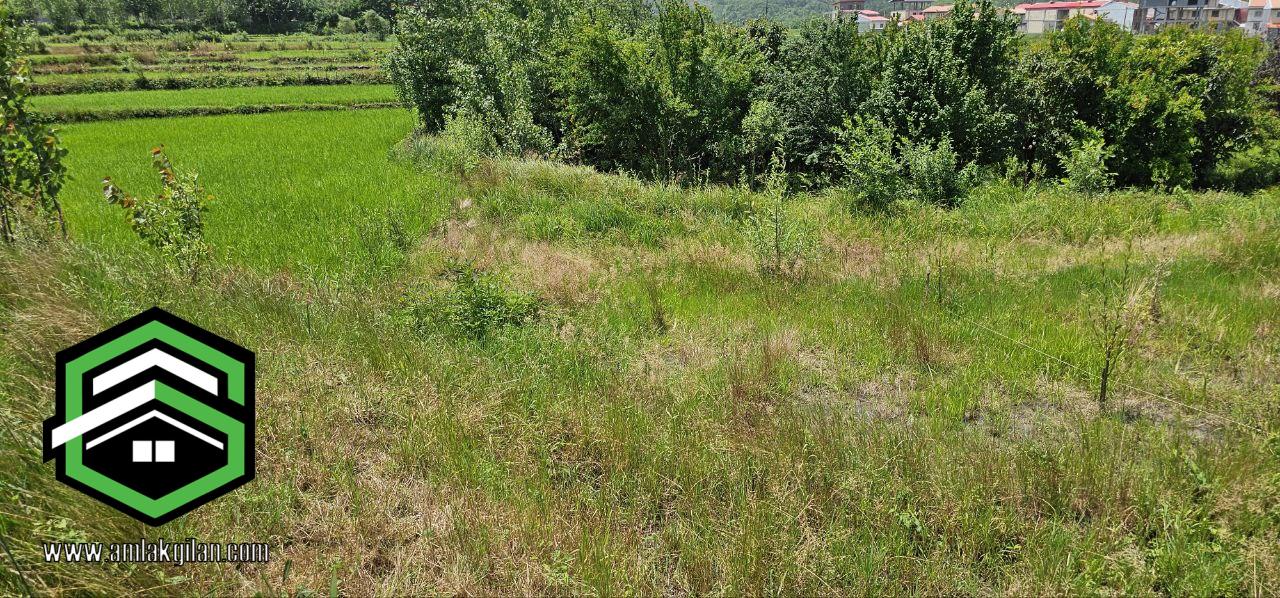 خرید و فروش زمین گیلان اطاقور 300 متری _ کد 31368