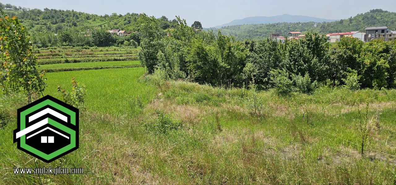 خرید و فروش زمین گیلان اطاقور 300 متری _ کد 31368