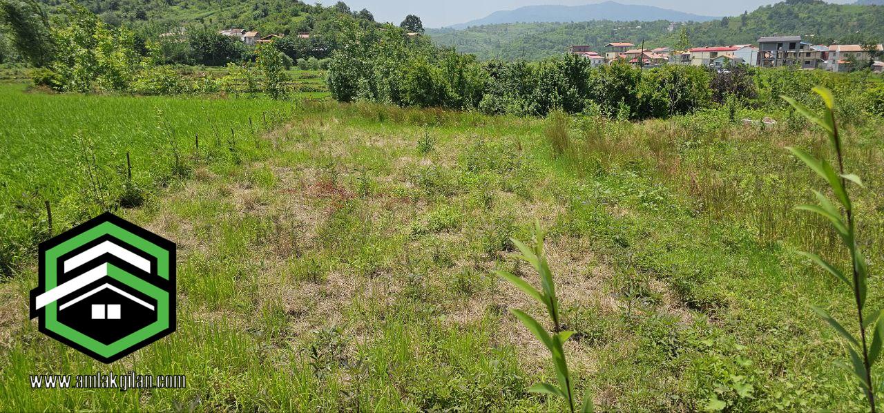 خرید و فروش زمین گیلان اطاقور 300 متری _ کد 31368
