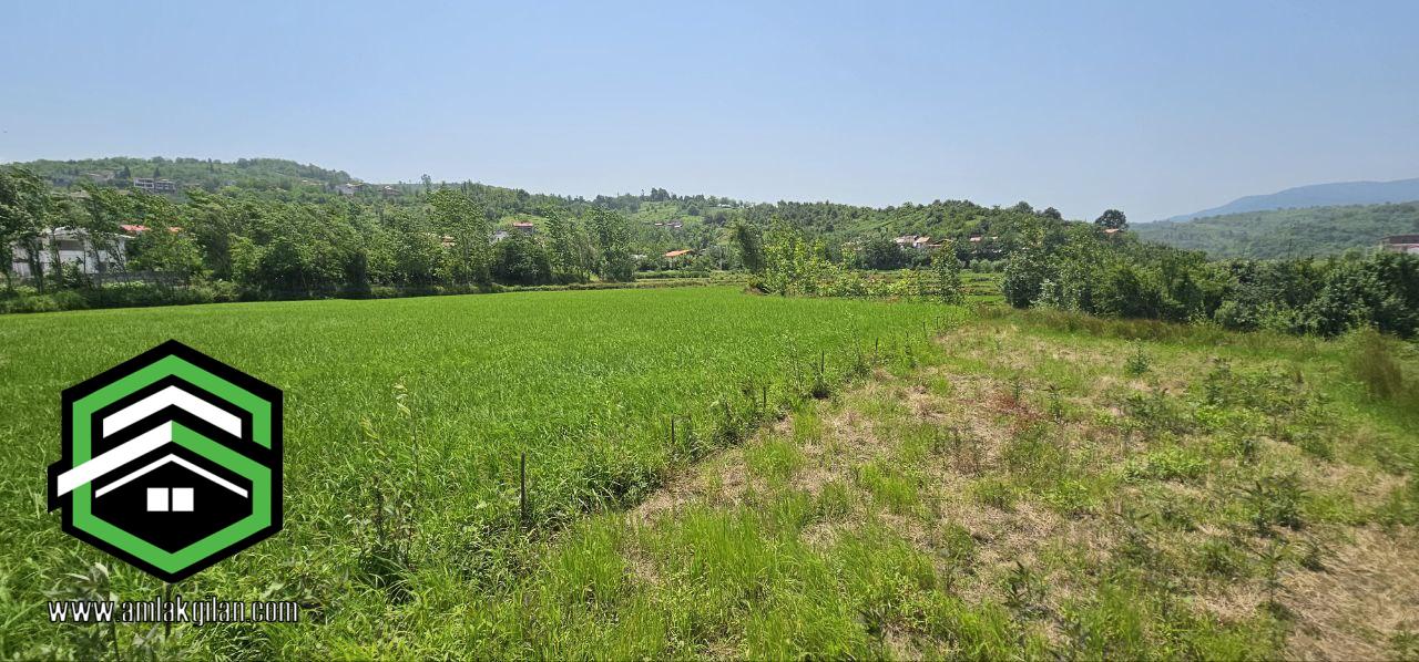 خرید و فروش زمین گیلان اطاقور 300 متری _ کد 31368