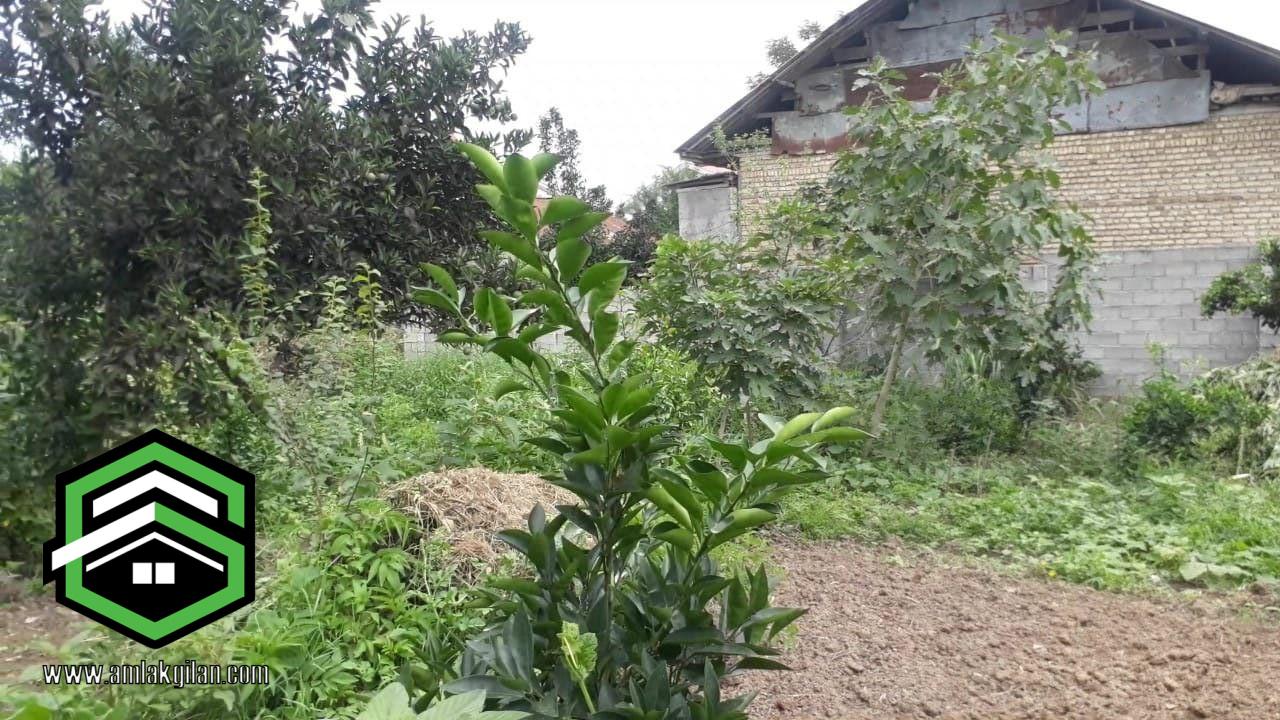 زمین مسکونی شمال گیلان حومه شهر توریستی اطاقور_ کد 31448