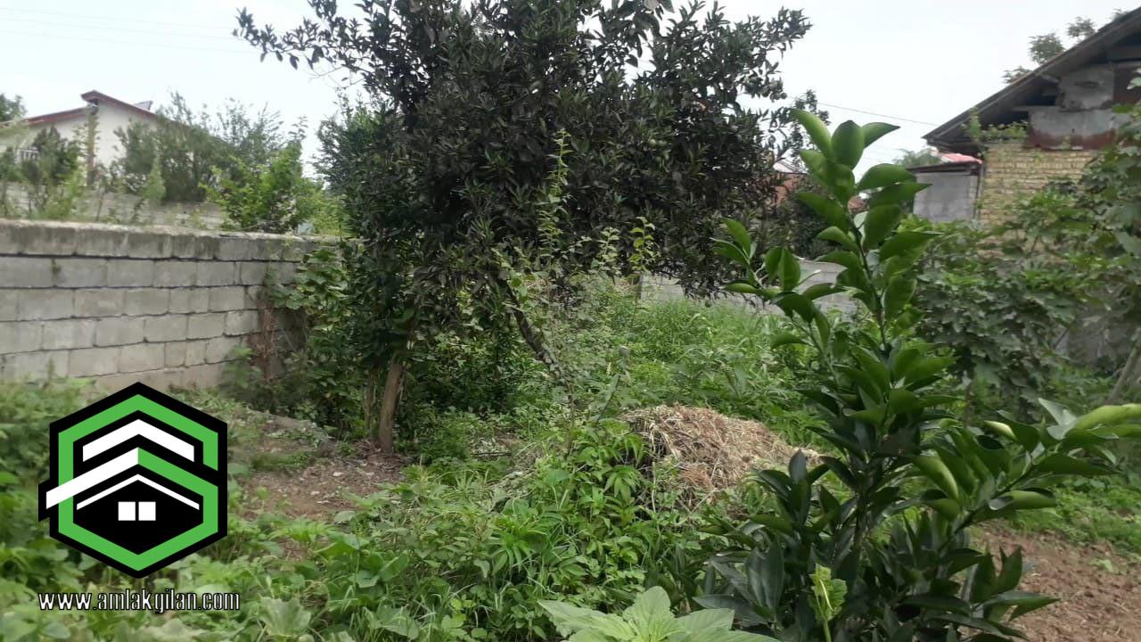 زمین مسکونی شمال گیلان حومه شهر توریستی اطاقور_ کد 31448