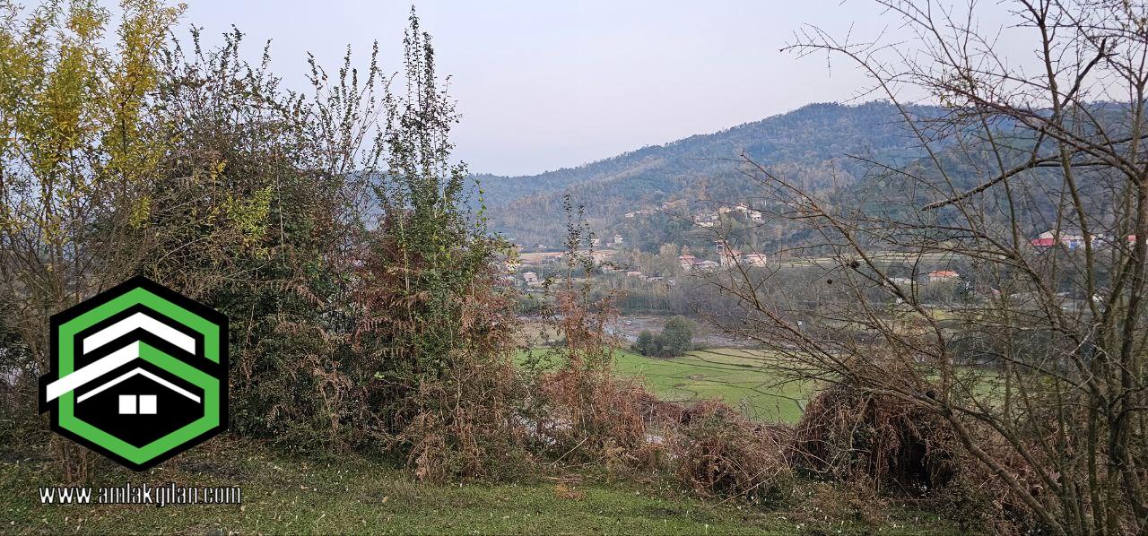 زمین باغی گیلان لنگرود اطاقور _ کد 31435