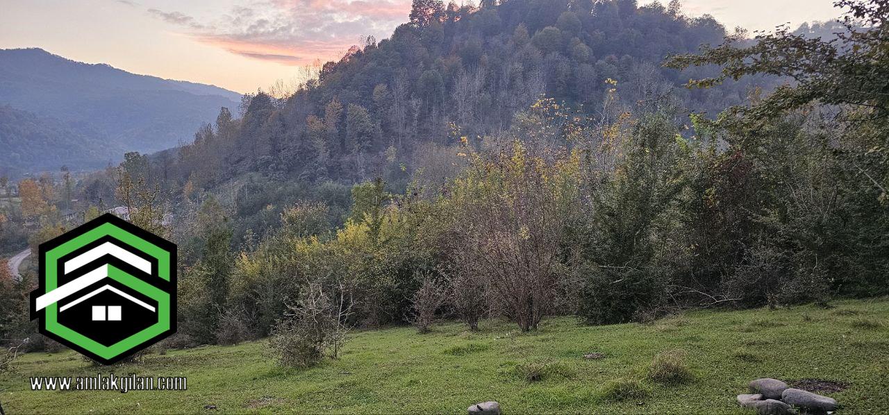 زمین باغی گیلان لنگرود اطاقور _ کد 31435