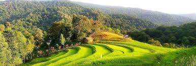املاک و ویلا در اطاقور