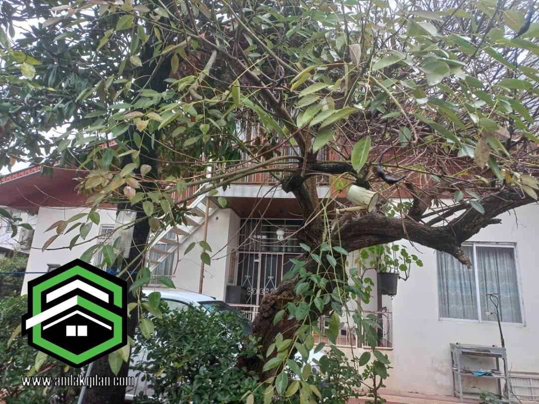 خانه کلنگی فروشی گیلان _ کد 31478