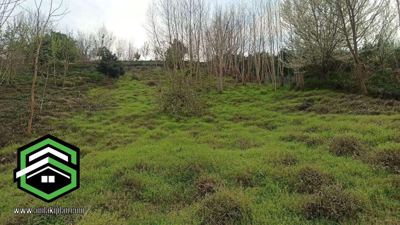 زمین فروشی شمال گیلان لنگرود منطقه توریستی اطاقور 1355 متری_ کد 41101