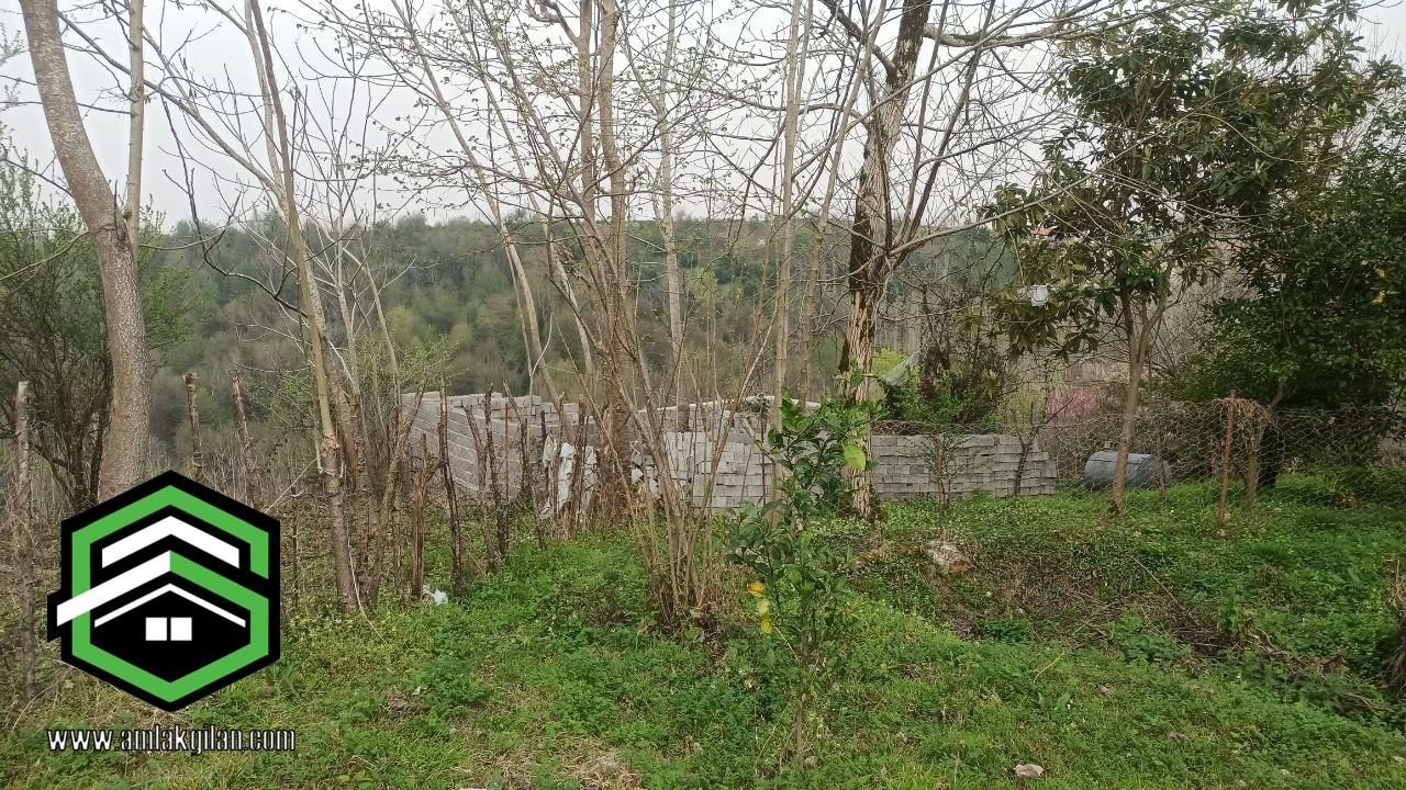 زمین مسکونی دنج گیلان لنگرود اطاقور 209 متری _ کد 41102