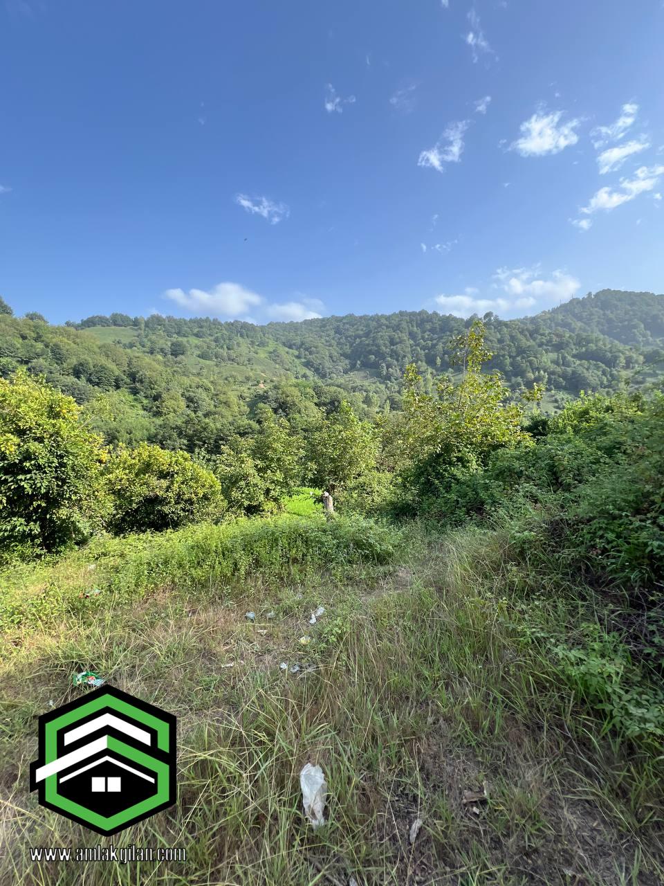 ویلا باغ اطاقور 6000 متری _ کد 41142