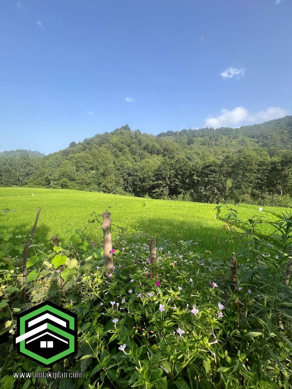 ویلا باغ اطاقور 6000 متری _ کد 41142