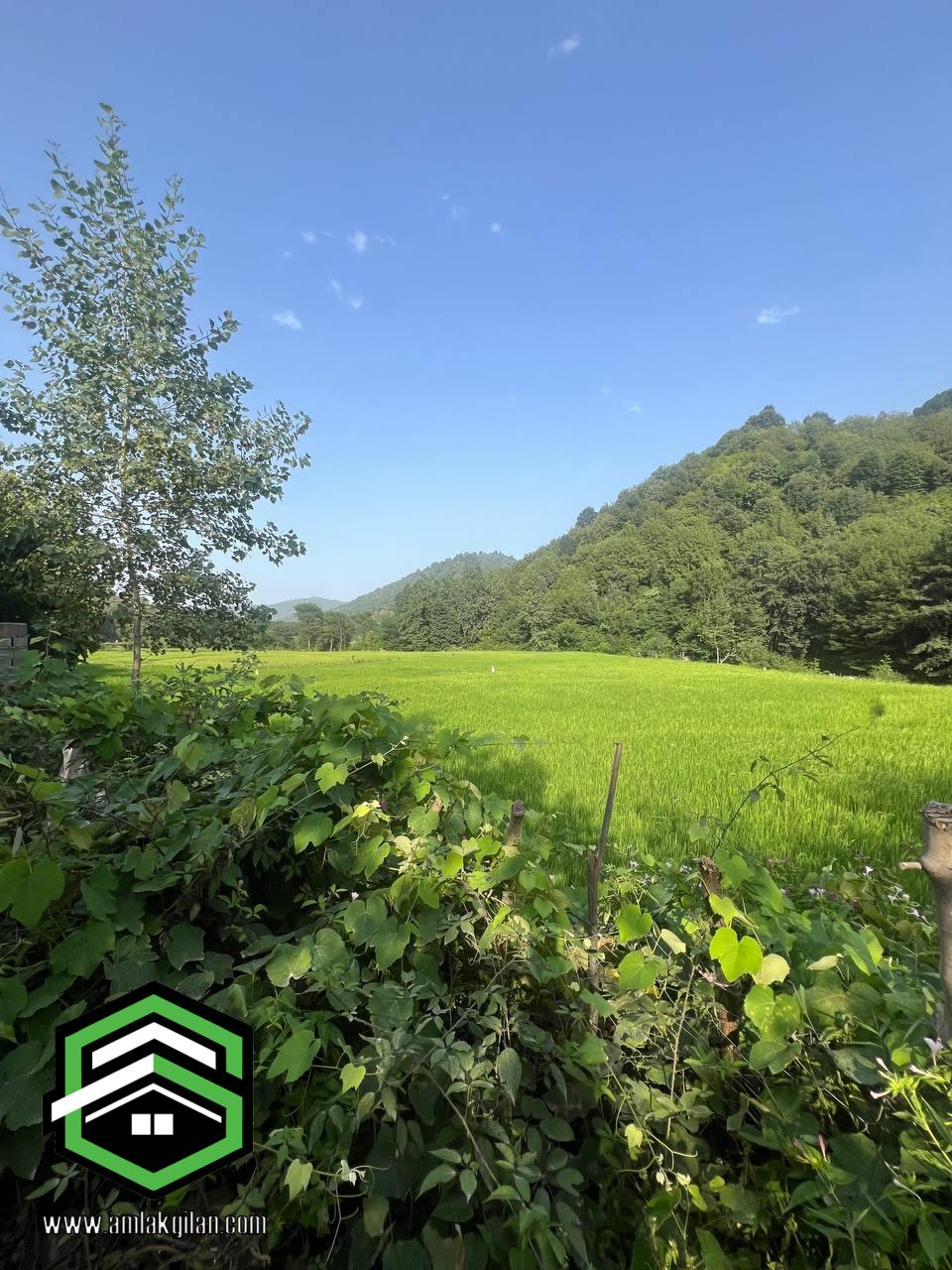 ویلا باغ اطاقور 6000 متری _ کد 41142