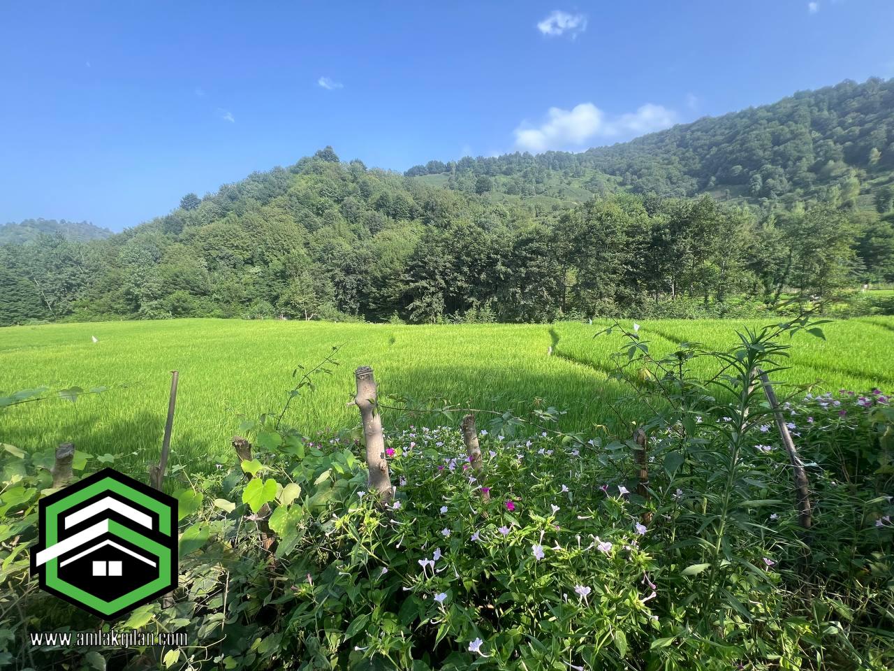 ویلا باغ اطاقور 6000 متری _ کد 41142