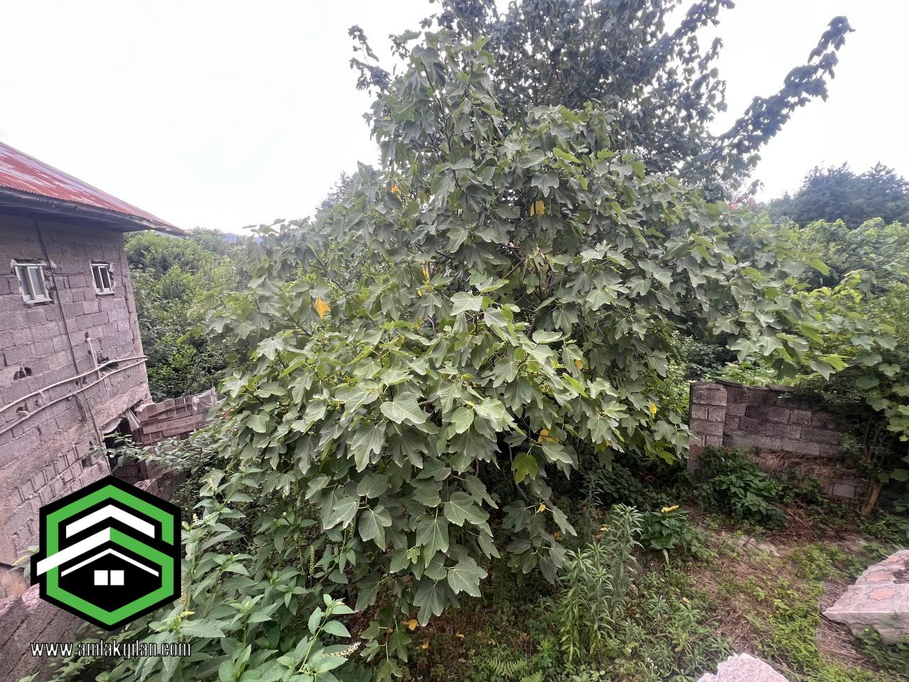 ویلا نوساز دوبلکس شمال گیلان لنگرود شهر اطاقور 250 متری_ کد 41144